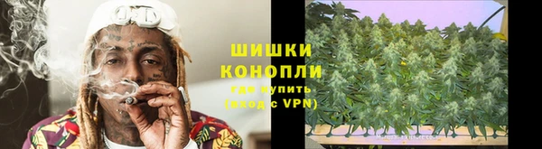 ECSTASY Богородицк