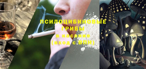 стафф Богородск