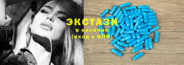 ECSTASY Богородицк