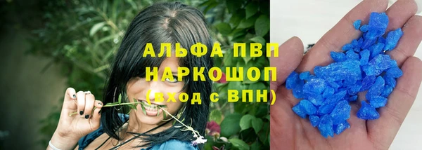 ECSTASY Богородицк