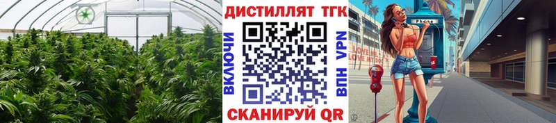 купить наркоту  Сковородино  Дистиллят ТГК гашишное масло 