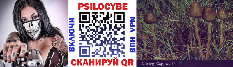 где купить   Сковородино  Псилоцибиновые грибы Cubensis 